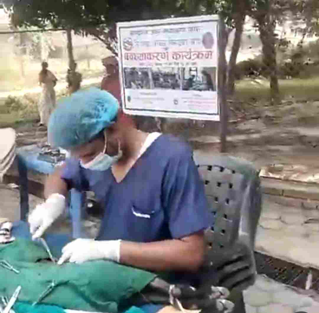 जनकपुरधाममा सामुदायिक कुकुर बन्ध्याकरण तथा रेविज खोप शिविर सञ्चालन